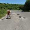 Intensifican acciones de bacheo en calles y caminos de Unión de Tula