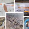 PROEPA aplica clausura parcial temporal al Rastro Municipal de El Grullo