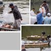 SADER siembra 6 mil alevines de tilapia en la presa Basilio Vadillo